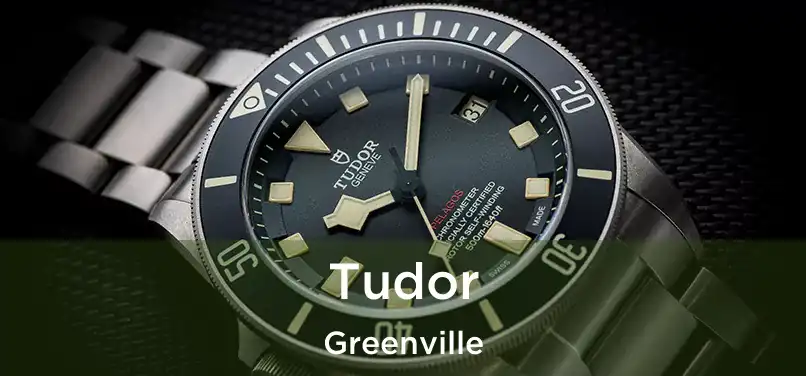  Tudor Greenville